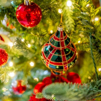 An ornament in a tree