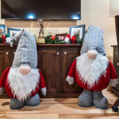 Home Decor