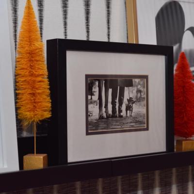 Home Decor